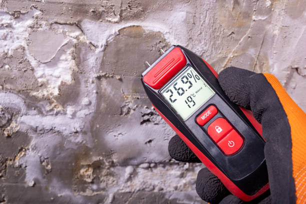 Best Emergency Mold Removal  in Selma, NC