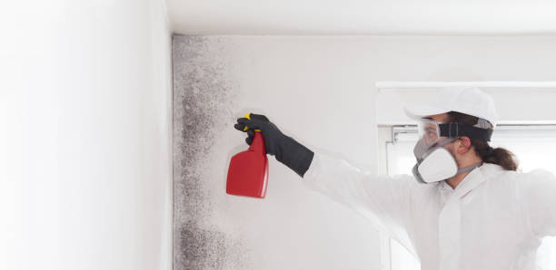 Best Mold Testing  in Selma, NC