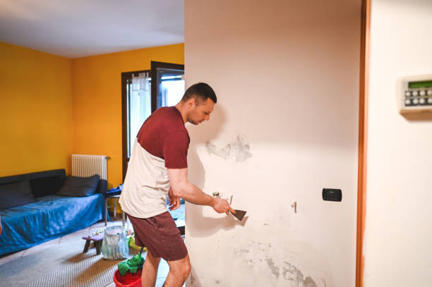 Best Mold Removal Company Near Me  in Selma, NC